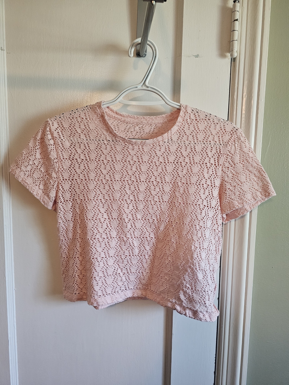 Francesca's Collections Pink Crochet Lace Crop Top